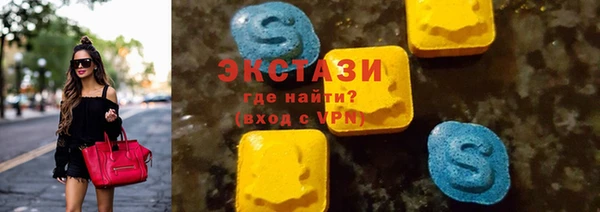 ECSTASY Горняк