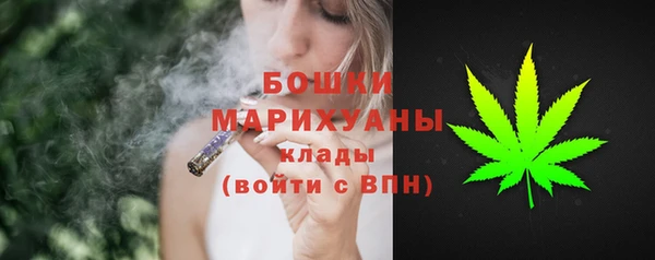 индика Наволоки