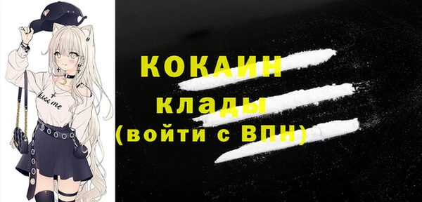 индика Наволоки
