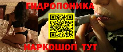бошки Волгодонск