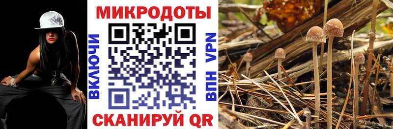 ссылка на мегу маркетплейс  Мегион  Галлюциногенные грибы мухоморы 