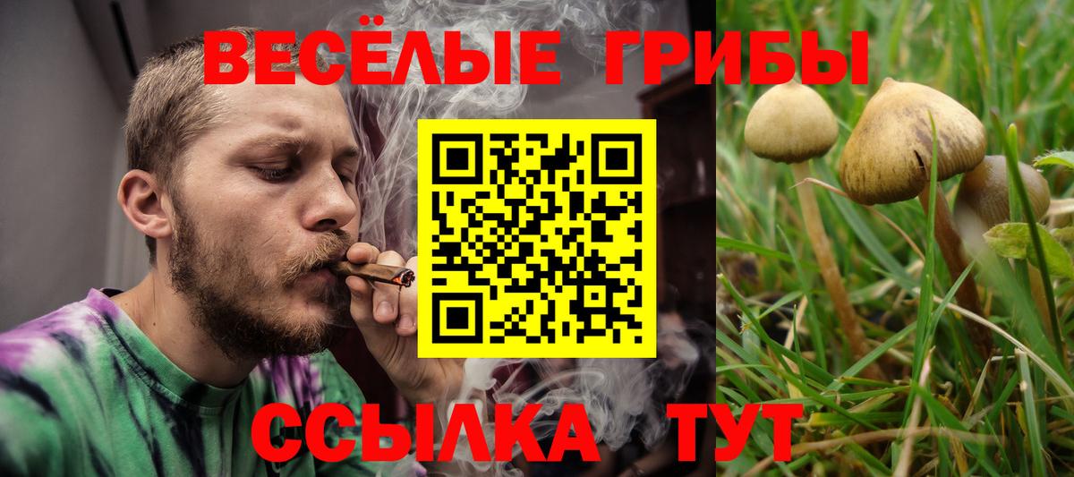 Псилоцибиновые грибы ЛСД Мегион